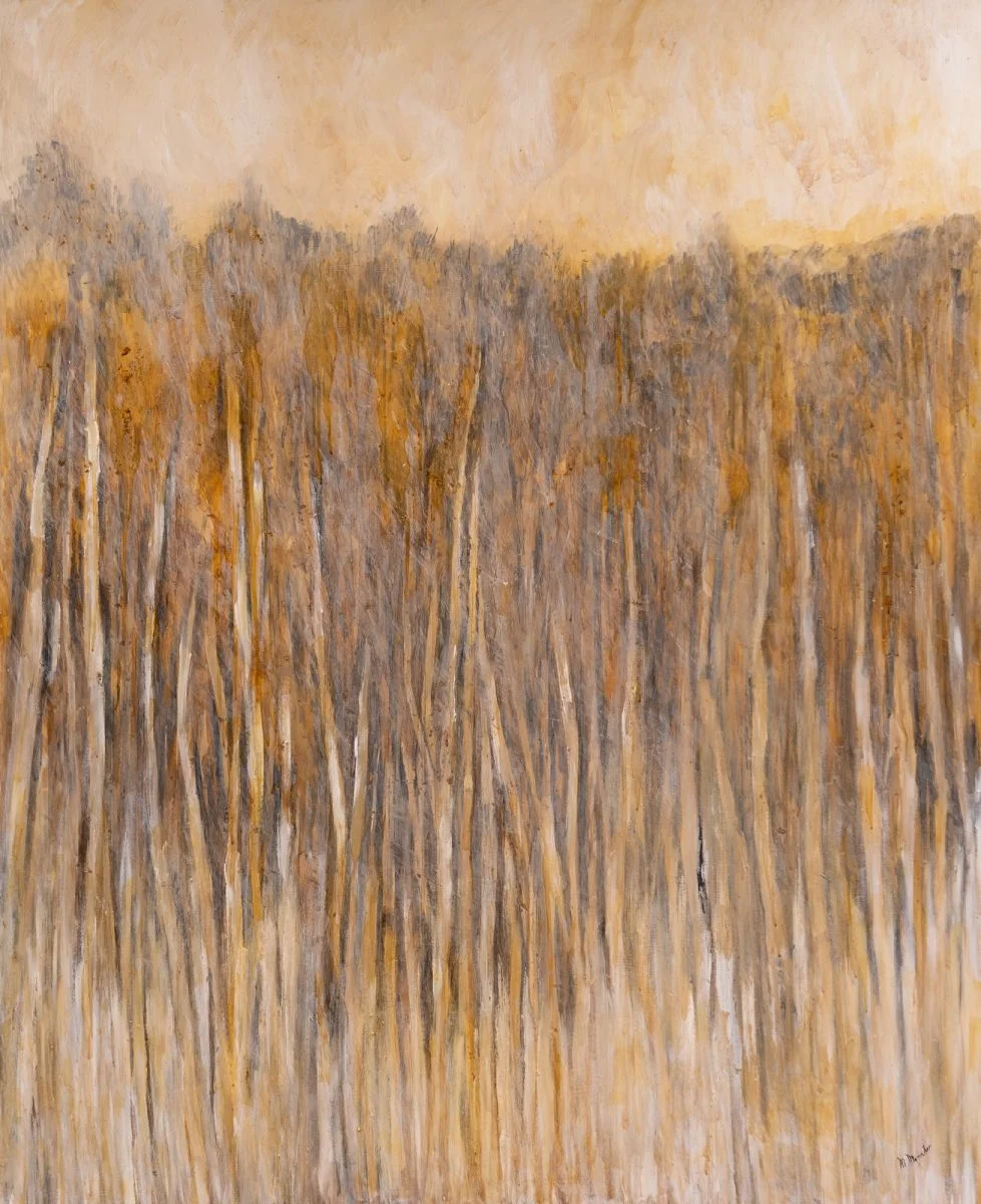 La immensitat del bosc | © Maria Mercader