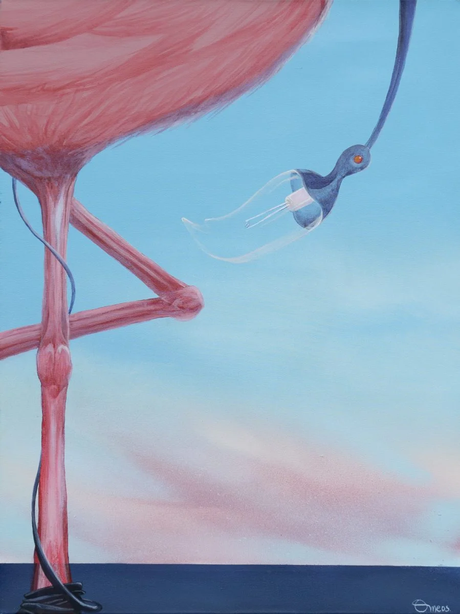 Pelikwat, 2005 | © Marc Corvillo 