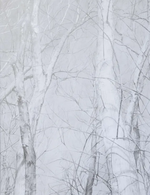 Plàtans, 2016 | © Jordi Serra Plàtans, 2016 | © Jordi Serra