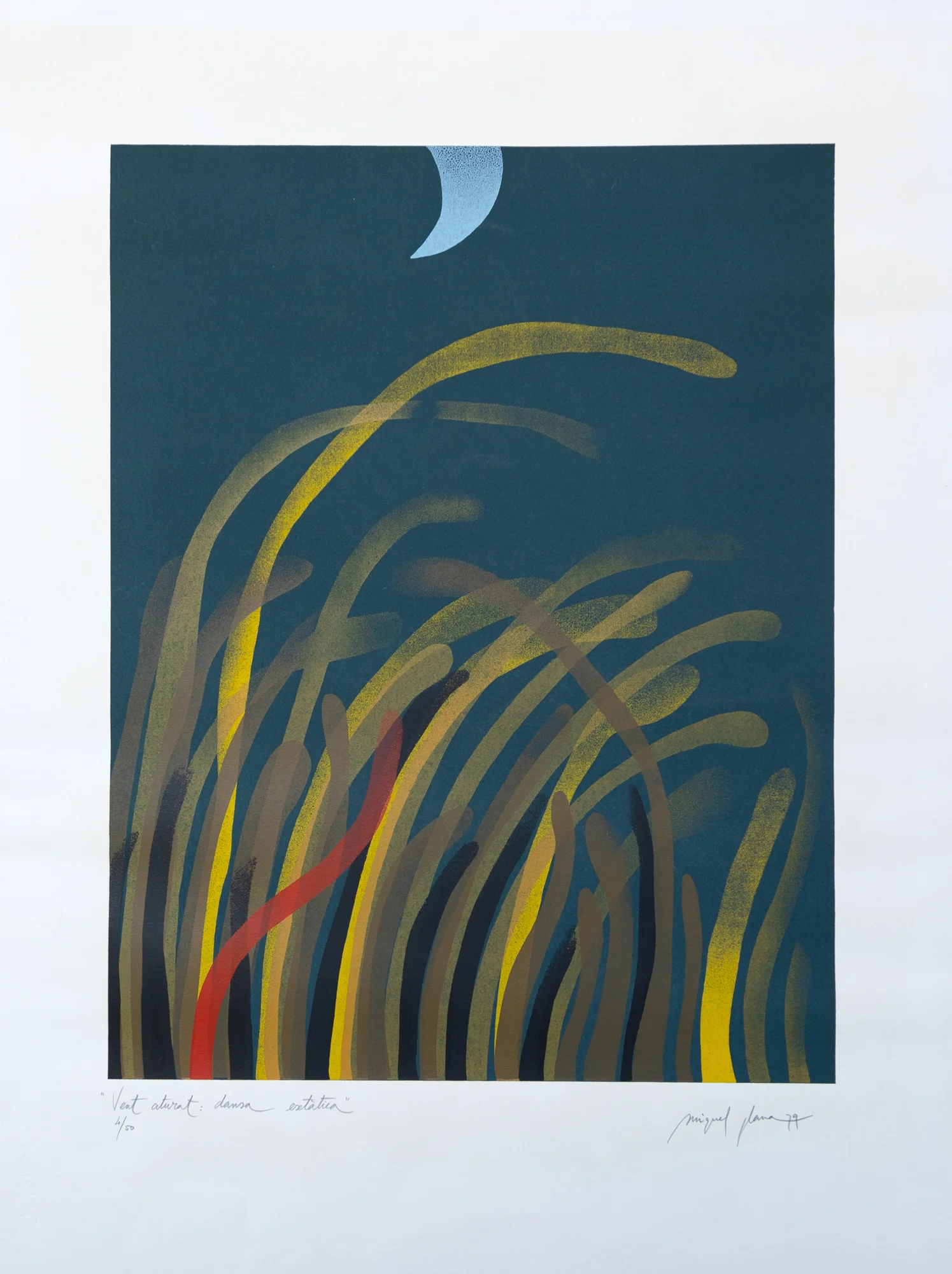 Flora màgica, 1979 | © Miquel Plana