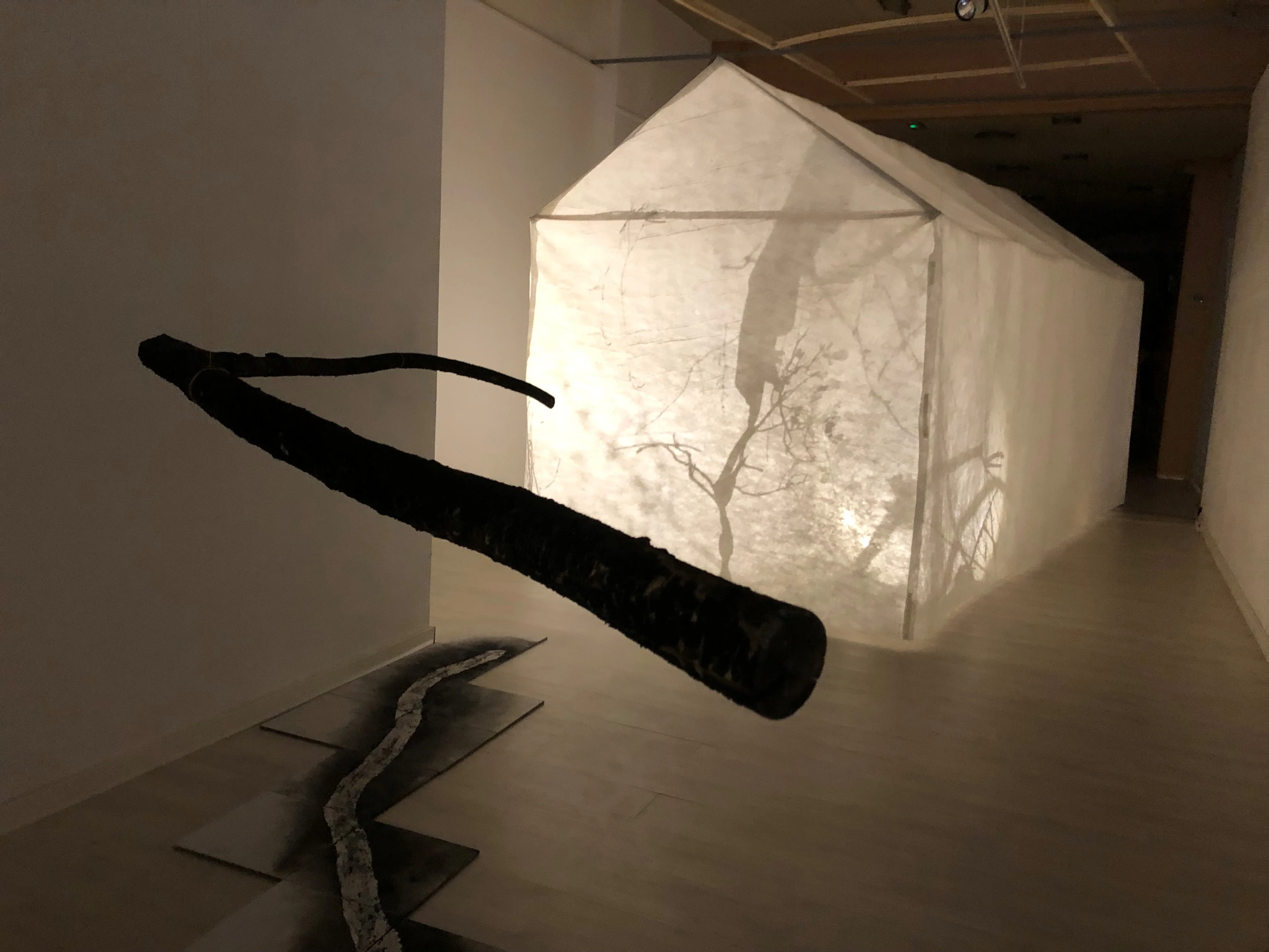 Jaume Geli | © Jaume Geli